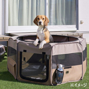 CAINZ Pet Furniture and Supplies