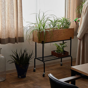 CRASH GATE | Houseplants and vases