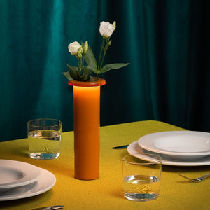 MAGIS | Houseplants and vases