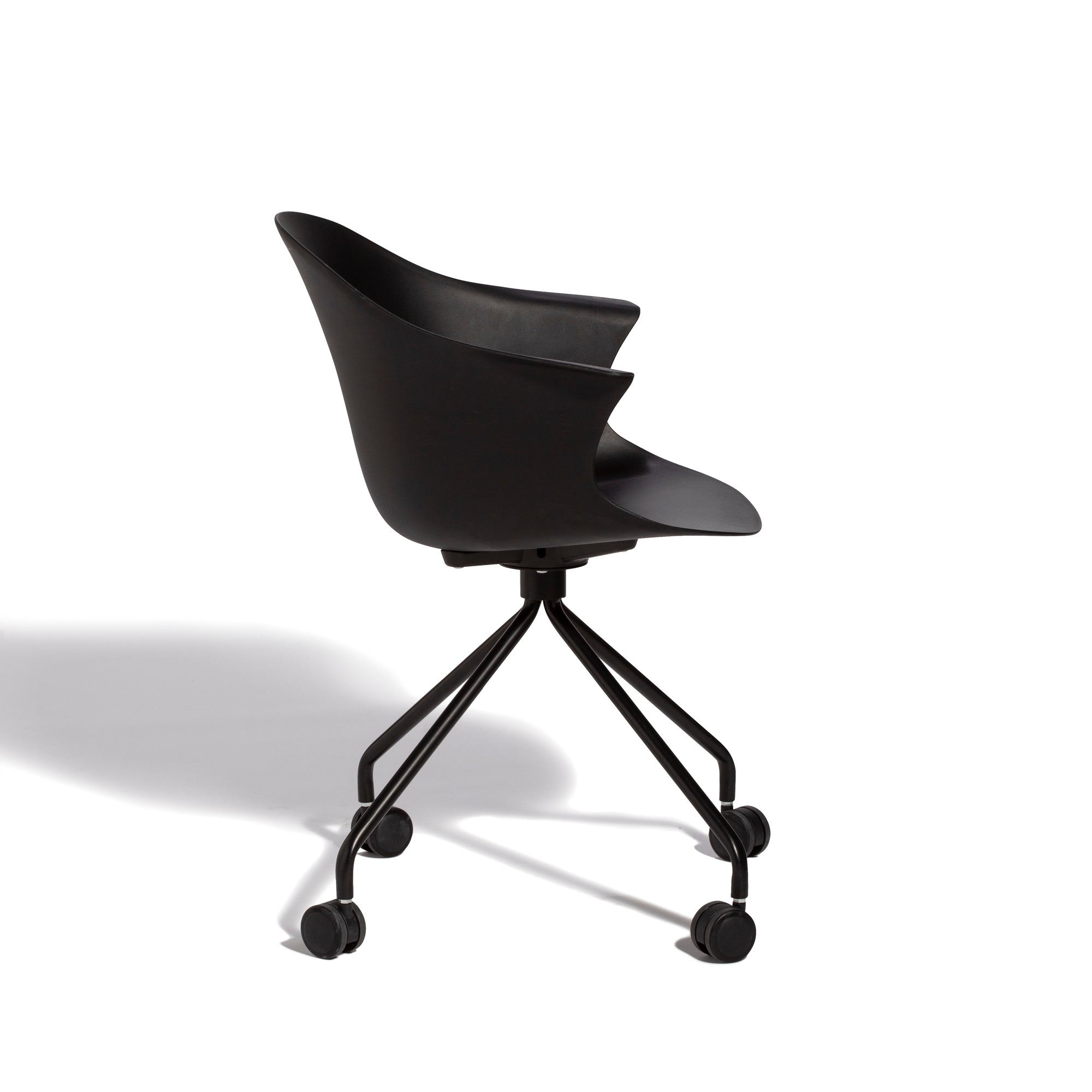Zoom
