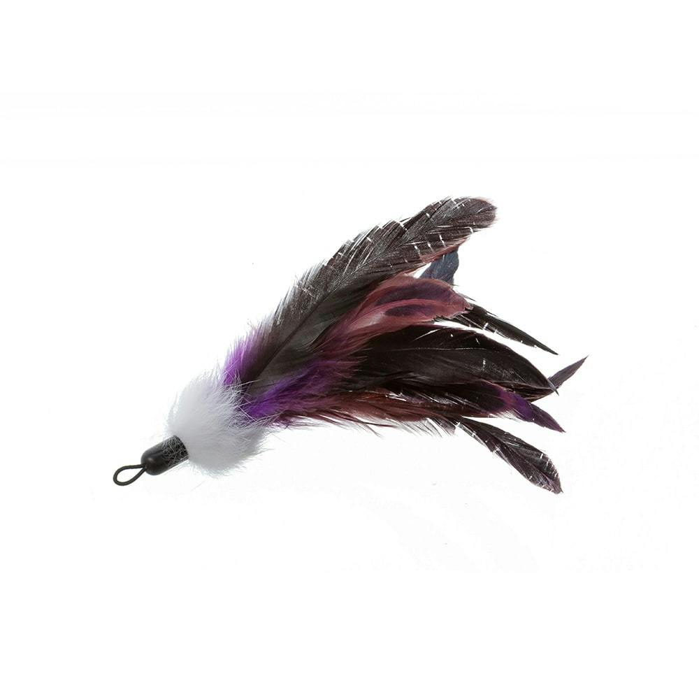 Zoom