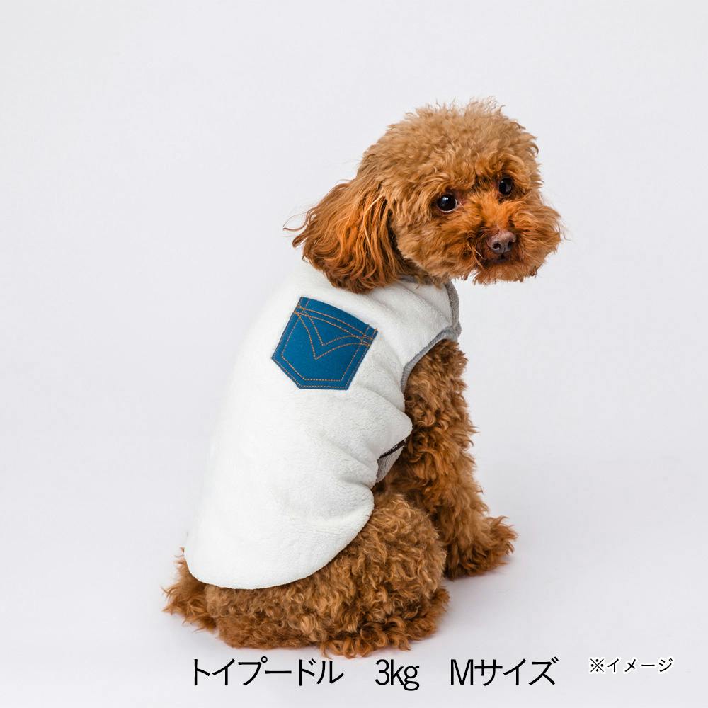 Zoom
